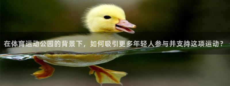 米兰体育在线：在体育运动公园的背景下，如何吸引更多年轻人参与并支持这项运动？