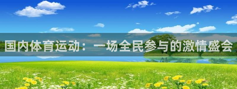 米兰体育网站：国内体育运动：一场全民参与的激情盛会