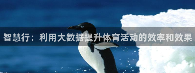 米兰体育登录：智慧行：利用大数据提升体育活动的效率和效果