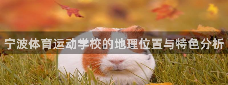 米兰体育中心