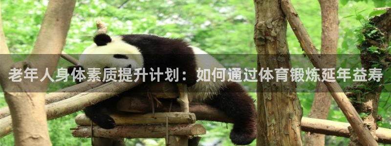 米兰体育网页版登录：老年人身体素质提升计划：如何通过体育锻炼延年益寿